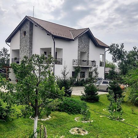 Pensiunea Codruta Cărpinişu Eksteriør bilde
