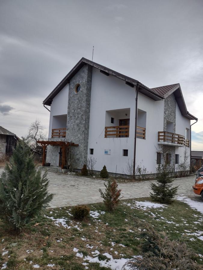 Pensiunea Codruta Cărpinişu Eksteriør bilde