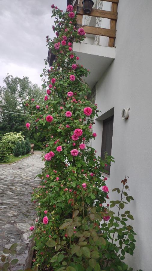 Pensiunea Codruta Cărpinişu Eksteriør bilde