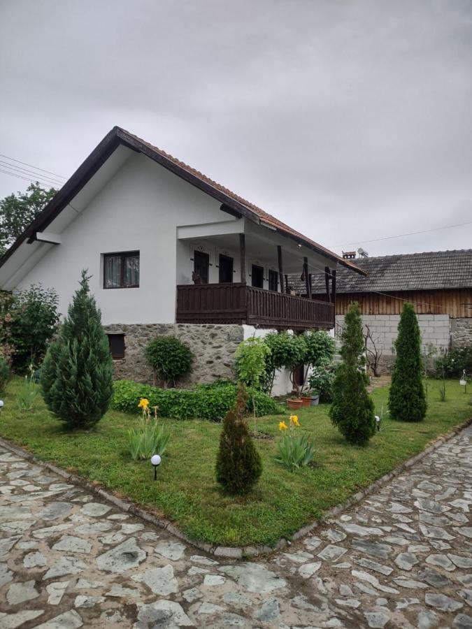 Pensiunea Codruta Cărpinişu Eksteriør bilde