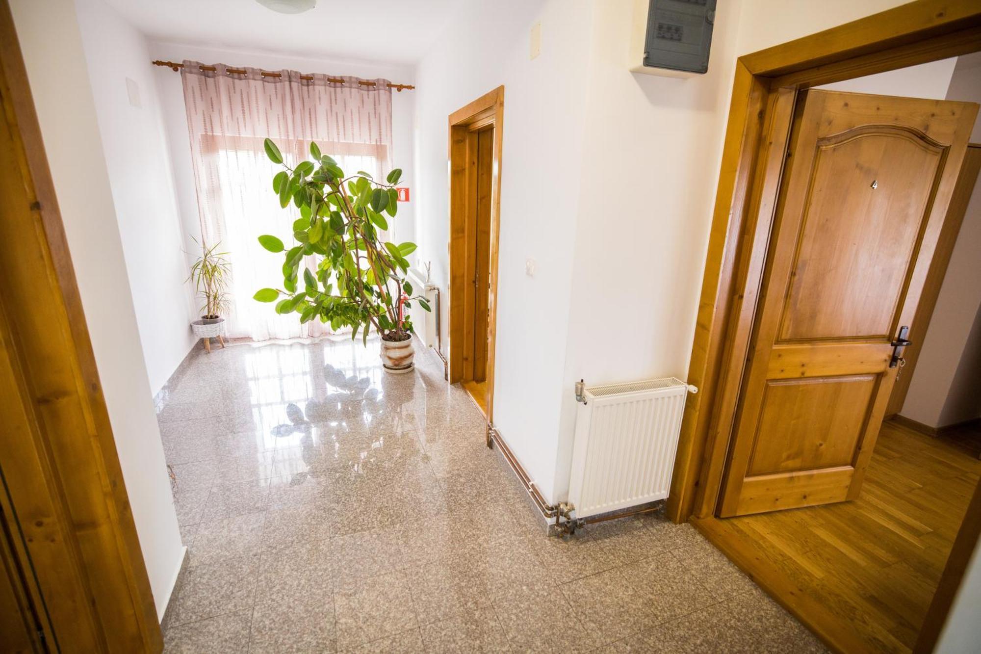 Pensiunea Codruta Cărpinişu Eksteriør bilde