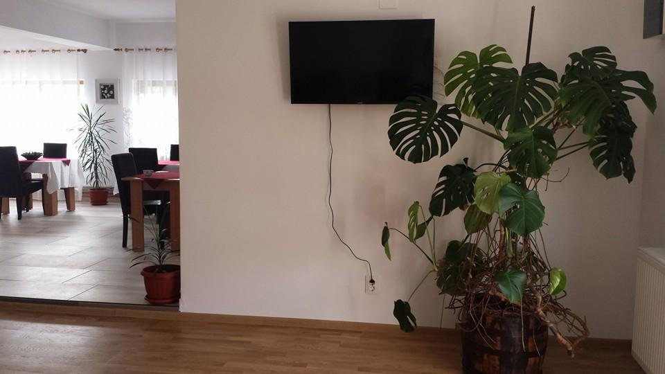 Pensiunea Codruta Cărpinişu Eksteriør bilde