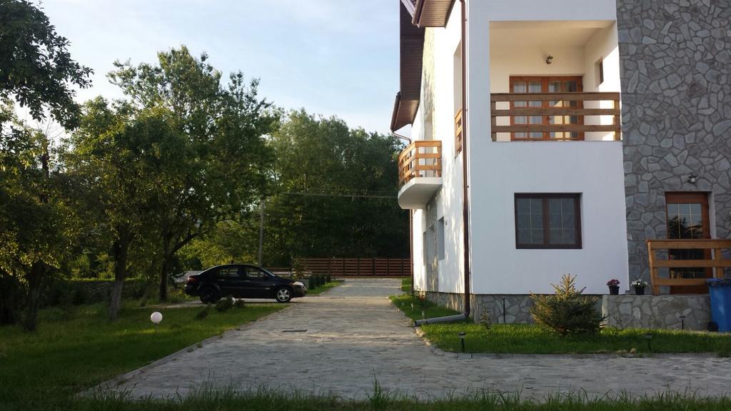 Pensiunea Codruta Cărpinişu Eksteriør bilde
