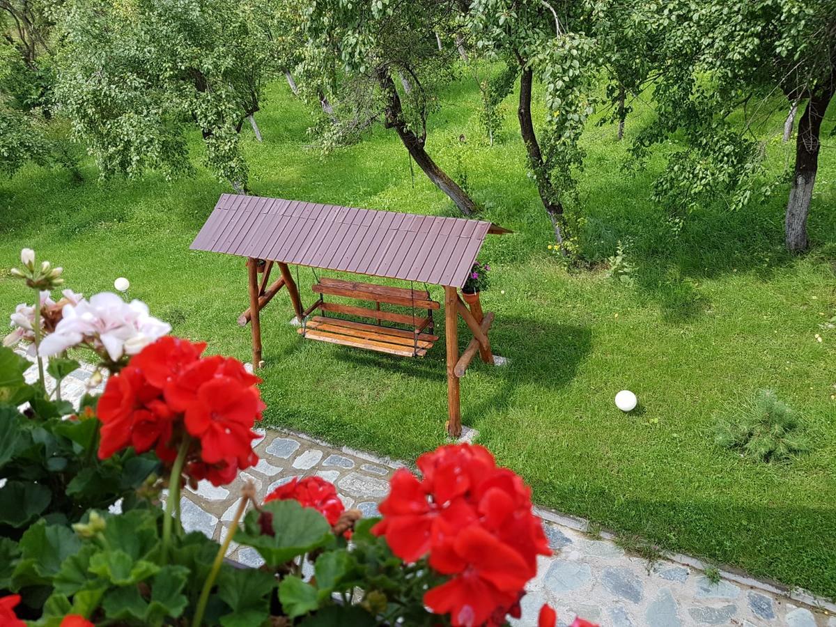 Pensiunea Codruta Cărpinişu Eksteriør bilde